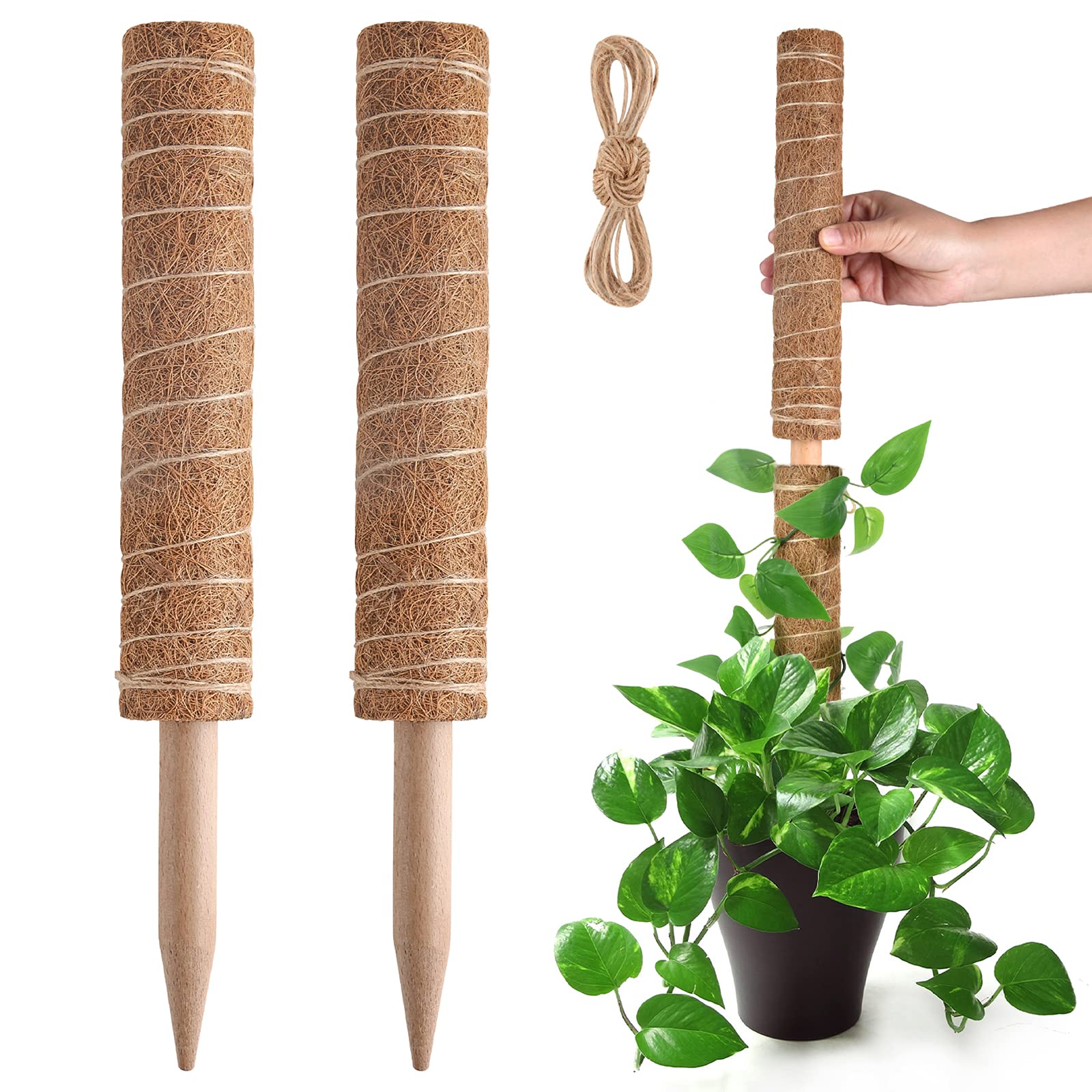 Amazon.com : Pisol Moss Pole for Plants Monstera, Extendable Plant
